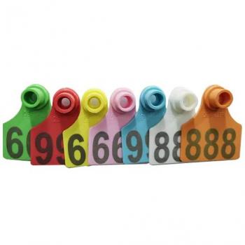 Standard ear tags, female