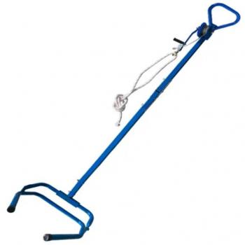 Obstetric apparatus for bovine