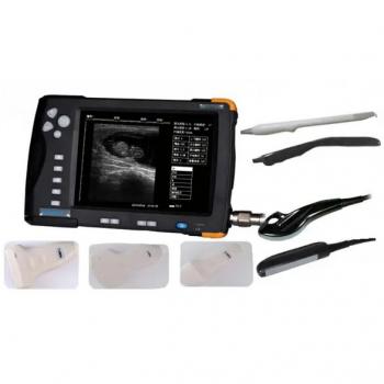 Veterinary ultrasound scanner CD66V