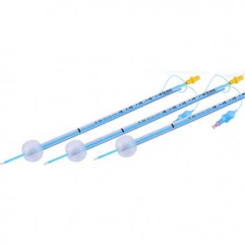 Cannine vaginal AI catheter