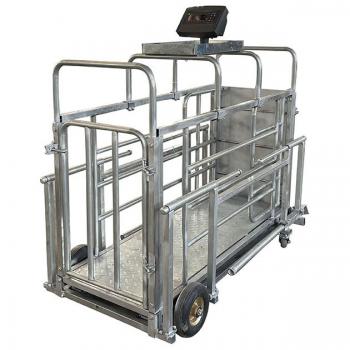 Pig cage scale