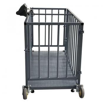 Cage scale