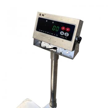 Stainless steel waterproof platform scale