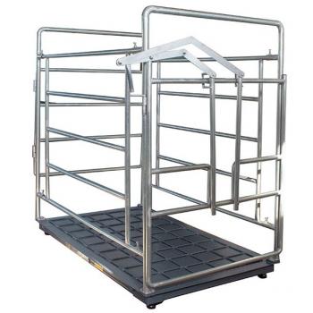 Cattle quarantine fence scale
