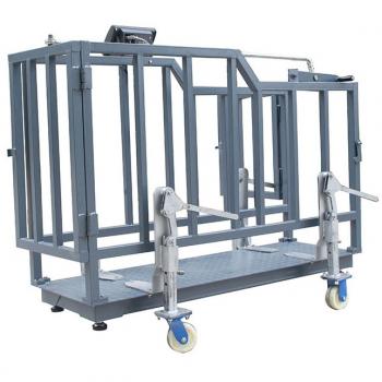 Calf scale